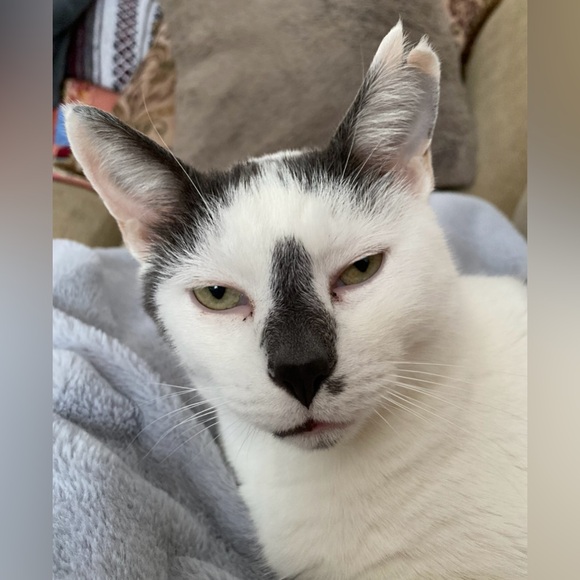 Meet your Posher! - Picture 13 of 13